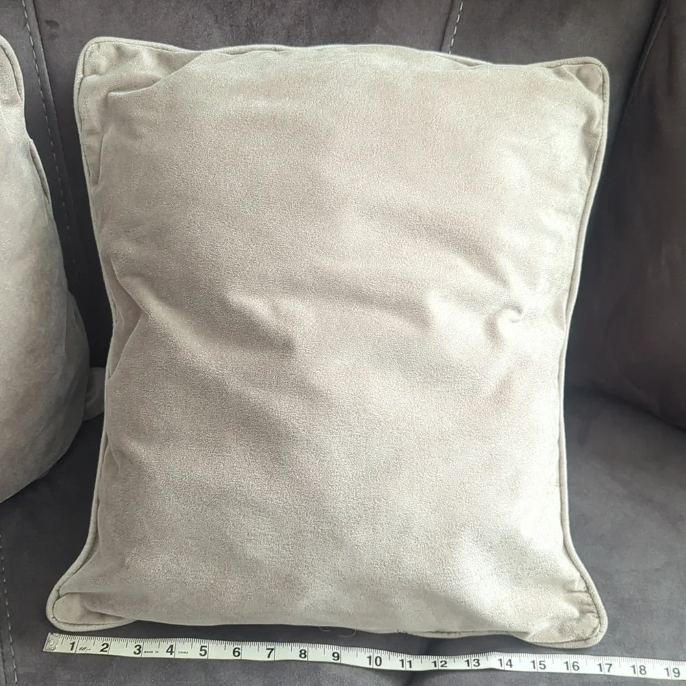 2 velvet pillows
